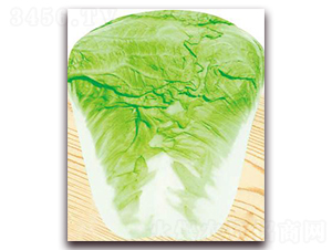 ��{120-�ײ˷N��-�����o(j��)