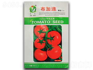 ���ӵ�-���ѷN��-�܃�(y��u)�N�I(y��)