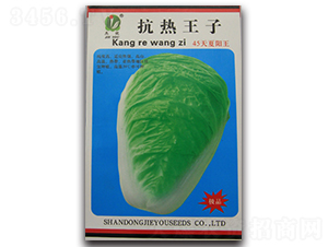 ��������-�ײ˷N��-�܃�(y��u)�N�I(y��)