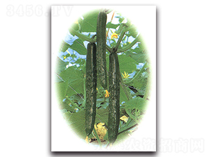 �Gʒ��̖-�S�ϷN��-�r(n��ng)����