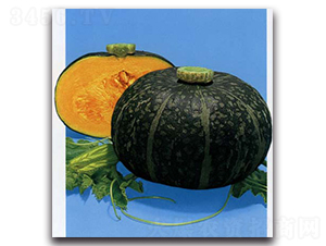 ����-�ϹϷN��-�r(n��ng)����