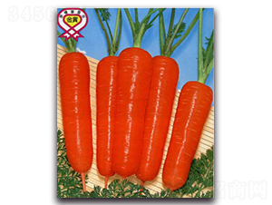 ��Խ�r�t���-���}���N��-�r(n��ng)����