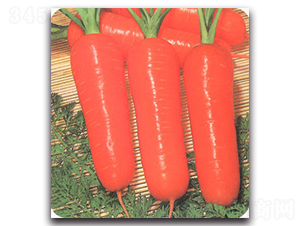 �и��������-���}���N��-�r(n��ng)����