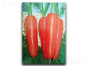 �����_(d��)-���}���N��-�r(n��ng)����