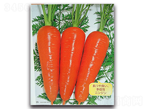 ����-���}���N��-�r(n��ng)����