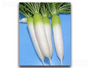 ��������-�}���N��-�r(n��ng)����