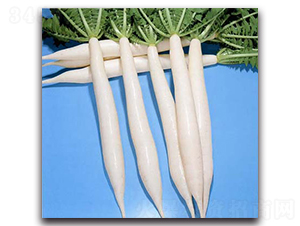 �ɝn����-�}���N��-�r(n��ng)����