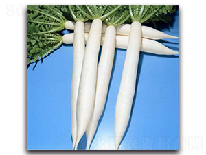 ��������-�}���N��-�r(n��ng)����