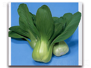 �ĵ�-�๣�˷N��-�r(n��ng)����