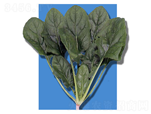 ����-���˷N��-�r(n��ng)����