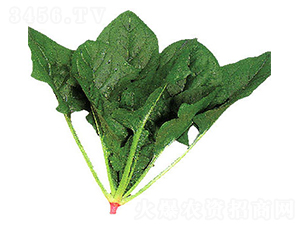 ����-���˷N��-�r(n��ng)����