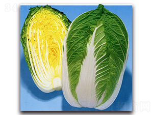 �츣75-��ײ˷N��-�r(n��ng)����