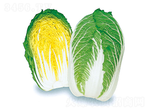 ÷�\-��ײ˷N��-�r(n��ng)����