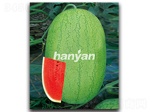 �h��һ̖(h��o)-���ϷN��-�h��