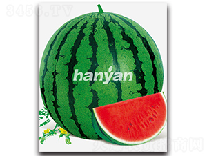 �h����̖(h��o)-���ϷN��-�h��