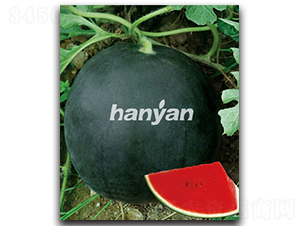 �hī��̖(h��o)-���ϷN��-�h��