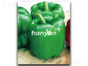 �h��һ̖-�𽷷N��-�h��