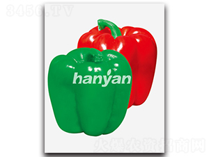 �h�Ƕ�̖-�𽷷N��-�h��