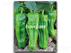 �h����̖-�����N��-�h��