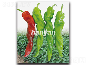 �h����̖-�����N��-�h��