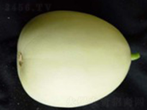 ����-��ϷN��-���N