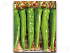 �h�Jһ̖-�����N��-�h��