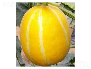 ���-��ϷN��-���N