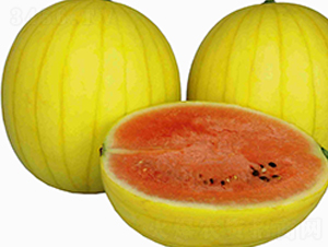 ��̫�(y��ng)-���ϷN��-���N