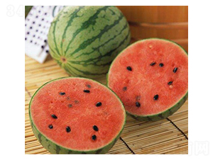 �t��-���ϷN��-���N