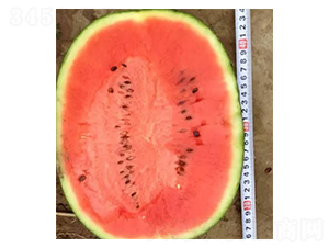 ����-���ϷN��-���N