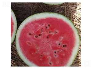 �nؐ-���ϷN��-���N