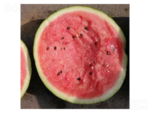 ����-���ϷN��-���N