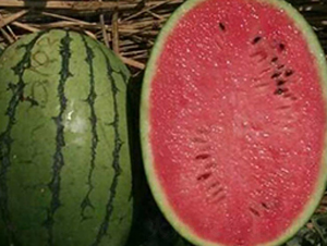 ϲ�m-���ϷN��-���N