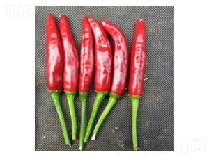 �n�r��̖-���콷�N��-���N