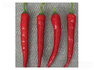 �t��-�����N��-���N