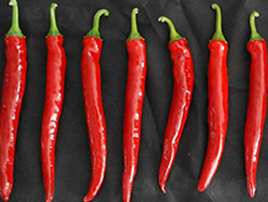 ����-�����N��-���N