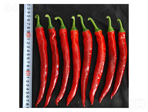 ��Խ����-�����N��-���N