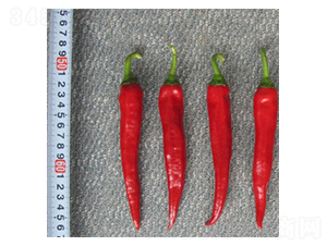 ���r(n��ng)-�����N��-���N