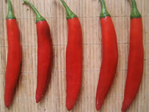 �t��-�����N��-���N