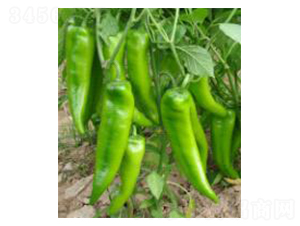 �P��-�����N��-���N