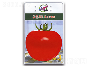 ��ɫ��518��t����-���ѷN��-�z��