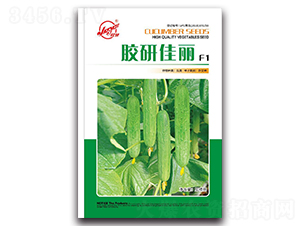 �z�м���-�S�ϷN��-�z��