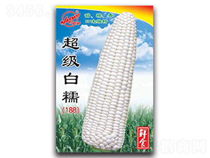 ������Ŵ��188��-Ŵ���׷N��-�z��