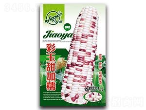 �z�в������Ŵ-Ŵ���׷N��-�z��