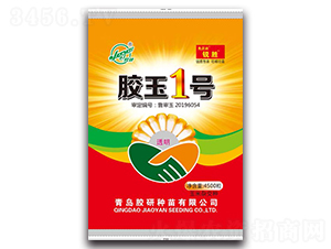 �z��1̖-�����s���N-�z��