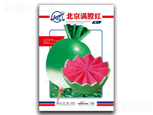 �����M�żt-�}���N��-�z��