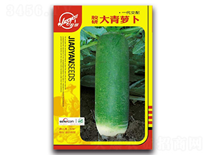 �z�д����}��-�}���N��-�z��