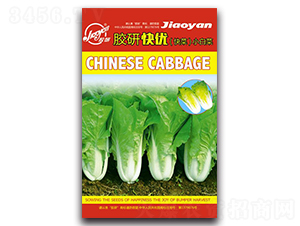 �z�п샞(y��u)-С�ײ˷N��-�z��