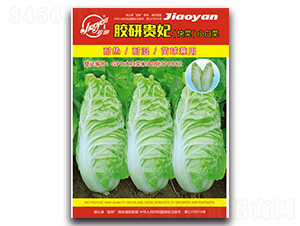 �z���F�����-С�ײ˷N��-�z��