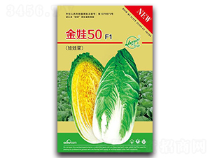 ����50-С�ײ˷N��-�z��